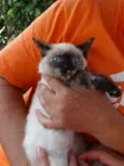 Tina