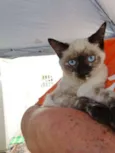 Tina