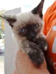 Tina