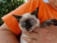 Tina