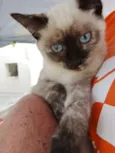 Tina