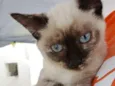 Tina