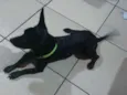Spock
