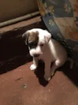 Jack