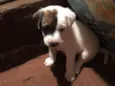 Jack