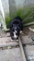 Julieta