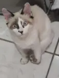 Milly