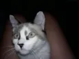 Milly