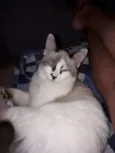 Milly
