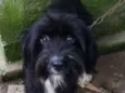 Julieta