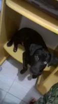 Bidu