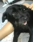 Dalila