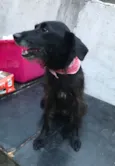 Tequila