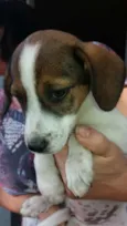 Nelly