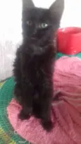 Bebês 2 meses