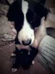 Kiiara 