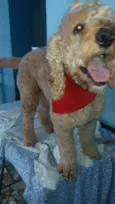 Billy