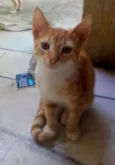 André