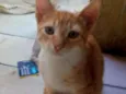 André