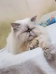 Lennon