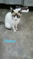Lua