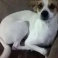 Madona 