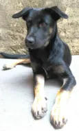 Bruce