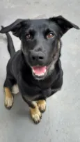 Bruce