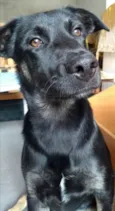Bruce