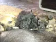 lindos