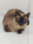 Nina