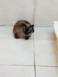 Nina