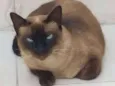 Nina