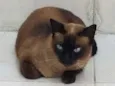 Nina