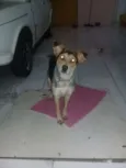 Nina