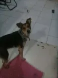 Nina