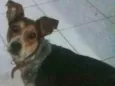 Nina
