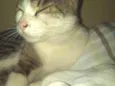 Mi