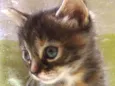 Luluca