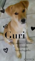 Guri