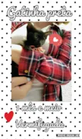 Pretinha
