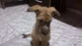 Teca