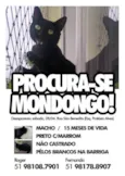 MONDONGO