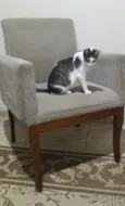 Menina