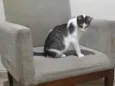 Menina