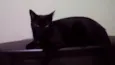 Nomes na descrição