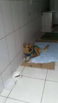 Sem Nome