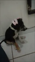 Benê