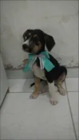 Benê