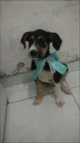 Benê